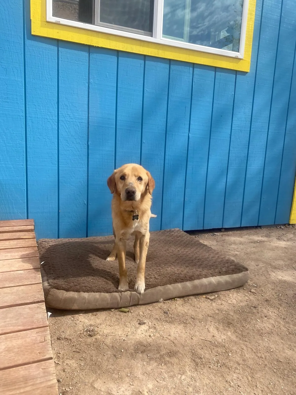 Copper
