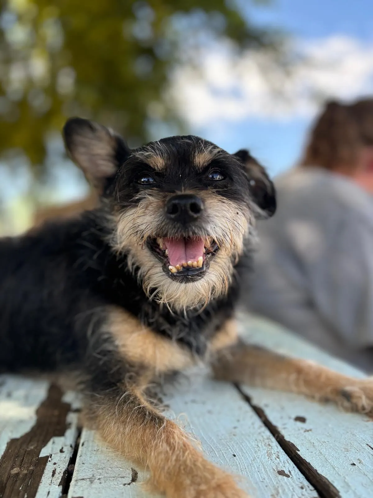 Russell