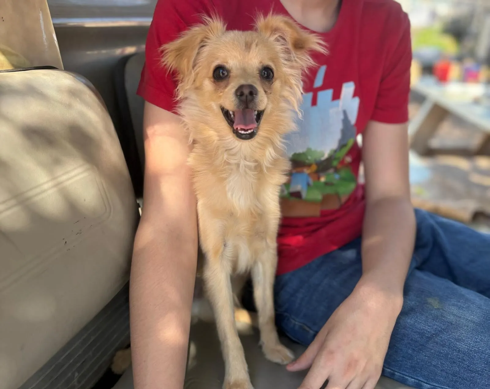 Simba