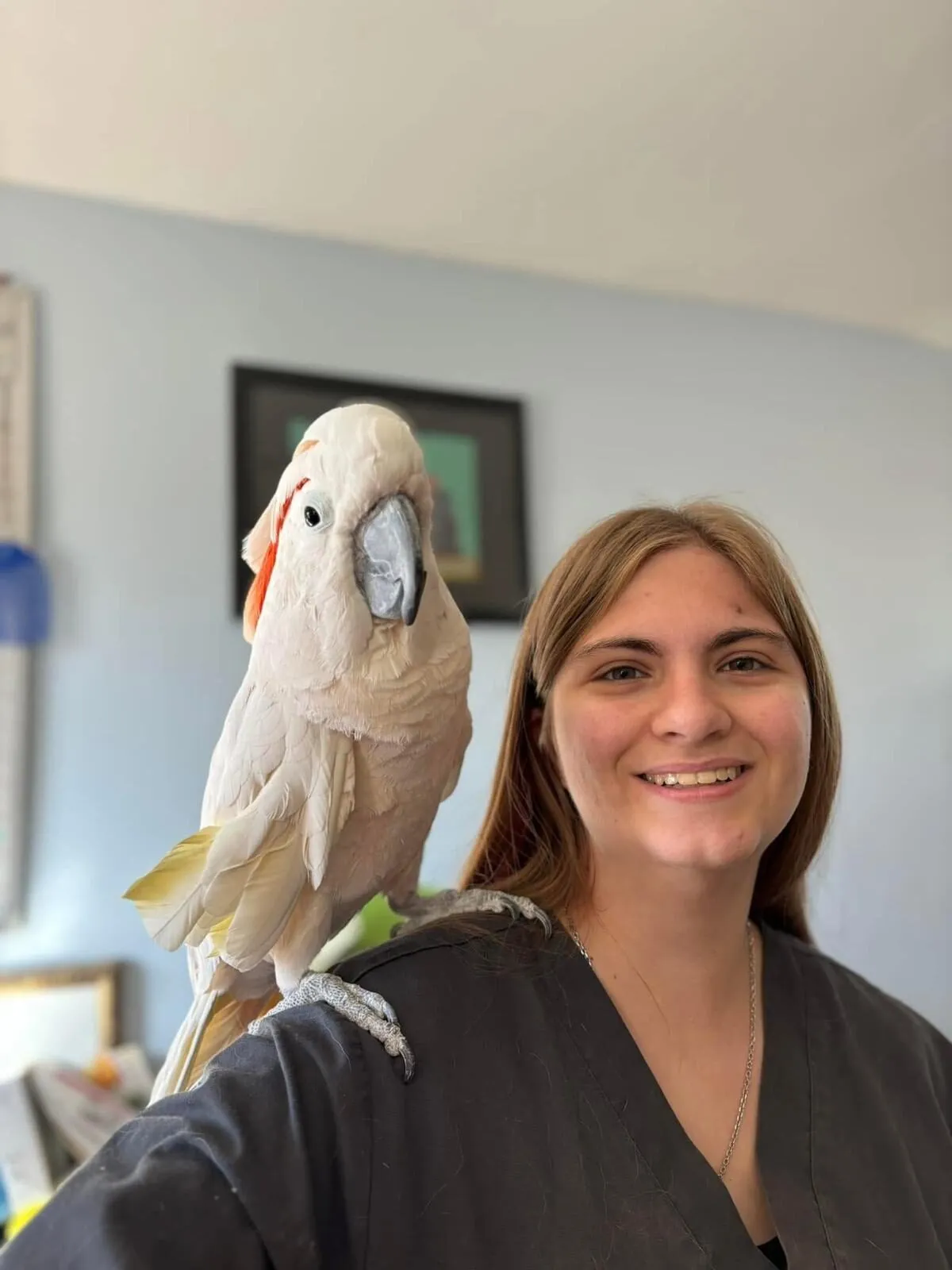 Volunteers with animals at The Gud Ark