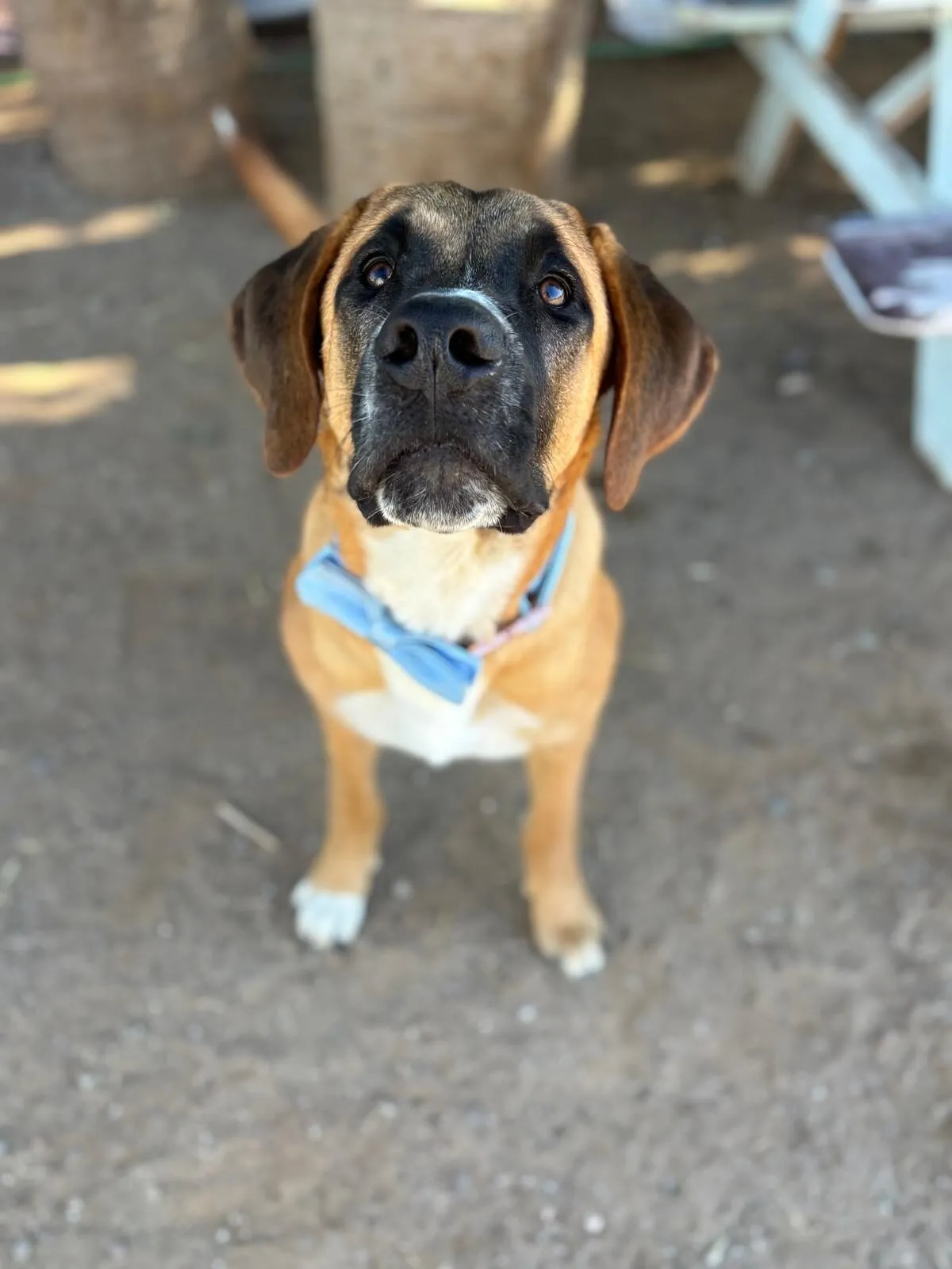 Walter